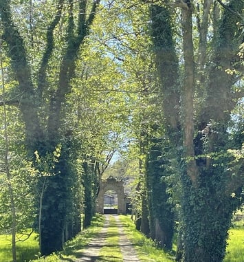 Visites commentées : Histoire de Figon et de son parc
