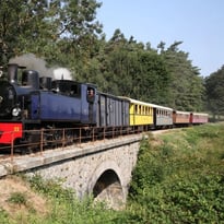Les Coulisses du train Velay-Express
