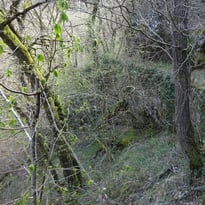 Découverte de l'aqueduc de Lavaudieu à Brioude