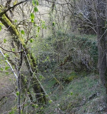 Découverte de l'aqueduc de Lavaudieu à Brioude