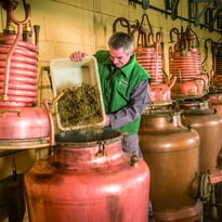Visite guidée de la Distillerie, Verveine du Velay Pagès