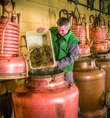 Visite guidée de la Distillerie, Verveine du Velay Pagès