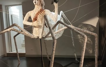 La dentelle comme source d'inspiration