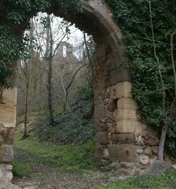 Découverte de la biodiversité autour de la Chapelle et du Château de Laroche