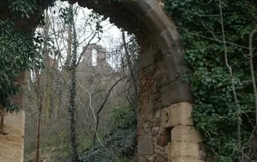 Découverte de la biodiversité autour de la Chapelle et du Château de Laroche