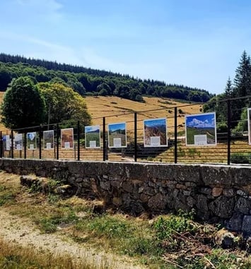 Exposition : "Voyage au cœur des prairies naturelles du Massif central"
