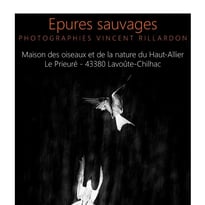 Exposition « Épures Sauvages », photographies de Vincent Rillardon