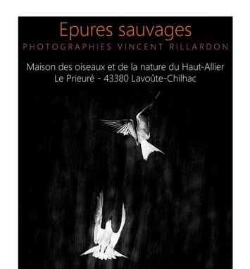 Exposition « Épures Sauvages », photographies de Vincent Rillardon