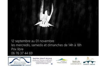 Exposition « Épures Sauvages », photographies de Vincent Rillardon