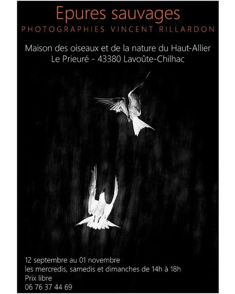 Exposition « Épures Sauvages », photographies de Vincent Rillardon
