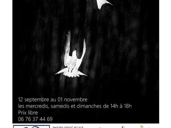 Exposition « Épures Sauvages », photographies de Vincent Rillardon