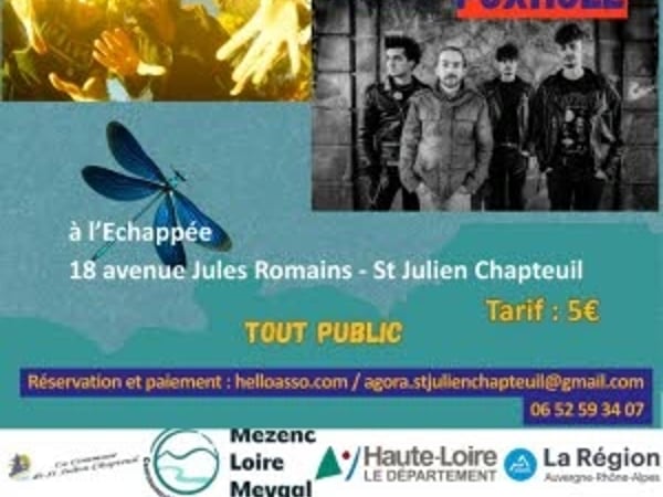 Concert Punk : Ponderale et Foxhole